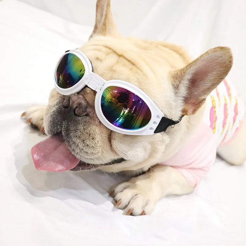 6 Colors Fashion Pet Dogs Sunglasses Waterproof Glasses For Small Medium Large Dogs Protection UV Goggles Pet Accessories