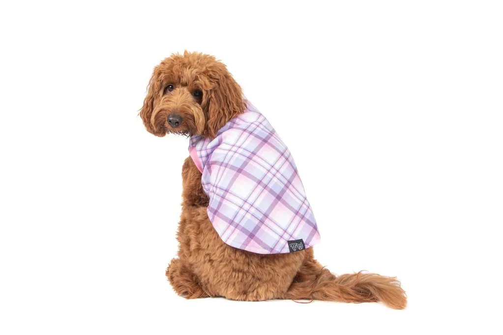 Big & Little Dogs Fleece Pyjamas - Pink & Purple Plaid