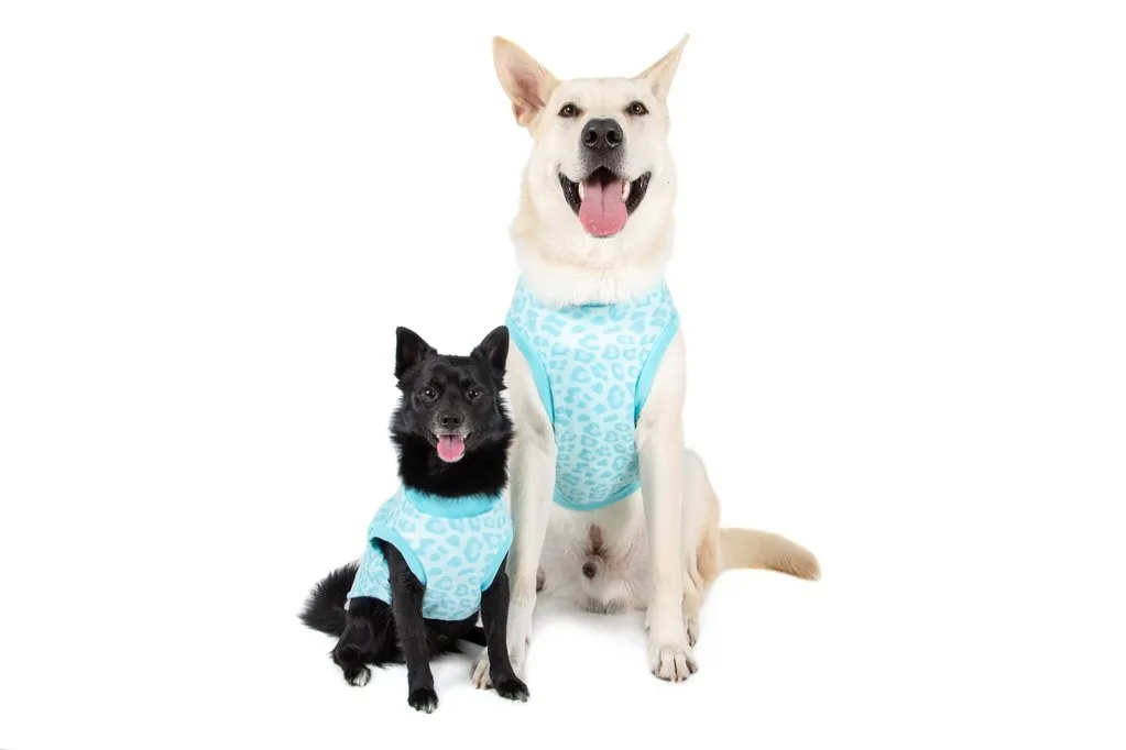Big & Little Dogs Fleece Pyjamas - Turquoise Leopard