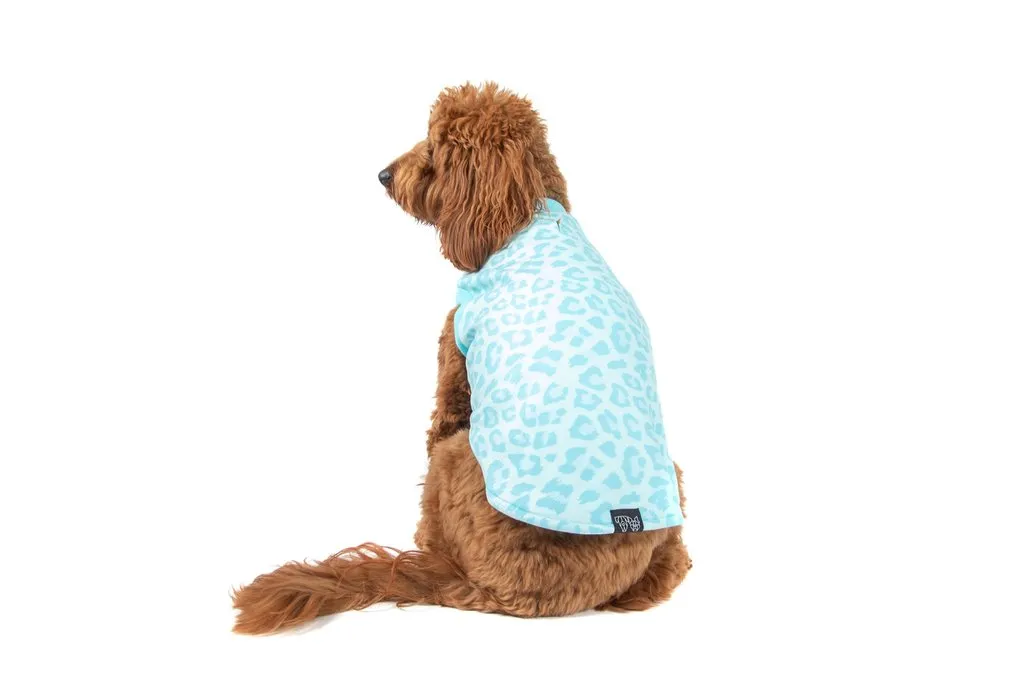 Big & Little Dogs Fleece Pyjamas - Turquoise Leopard