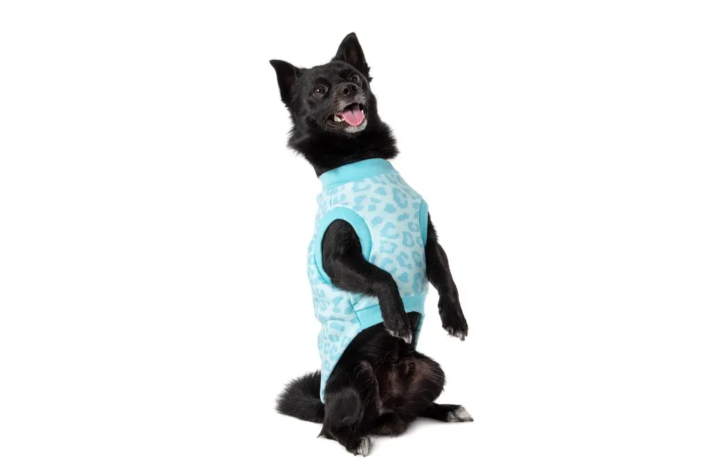 Big & Little Dogs Fleece Pyjamas - Turquoise Leopard