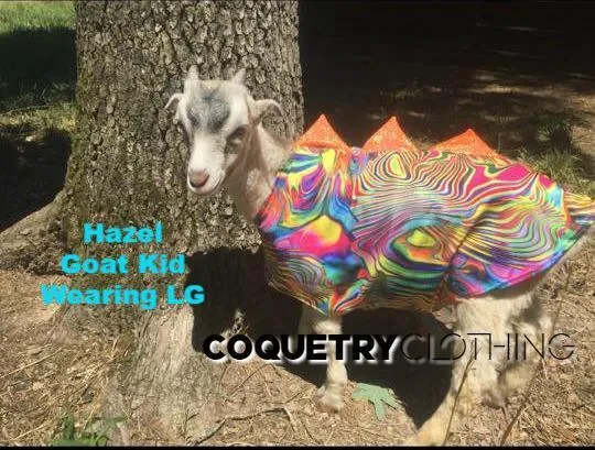 Blue Lightning Pet Shirt