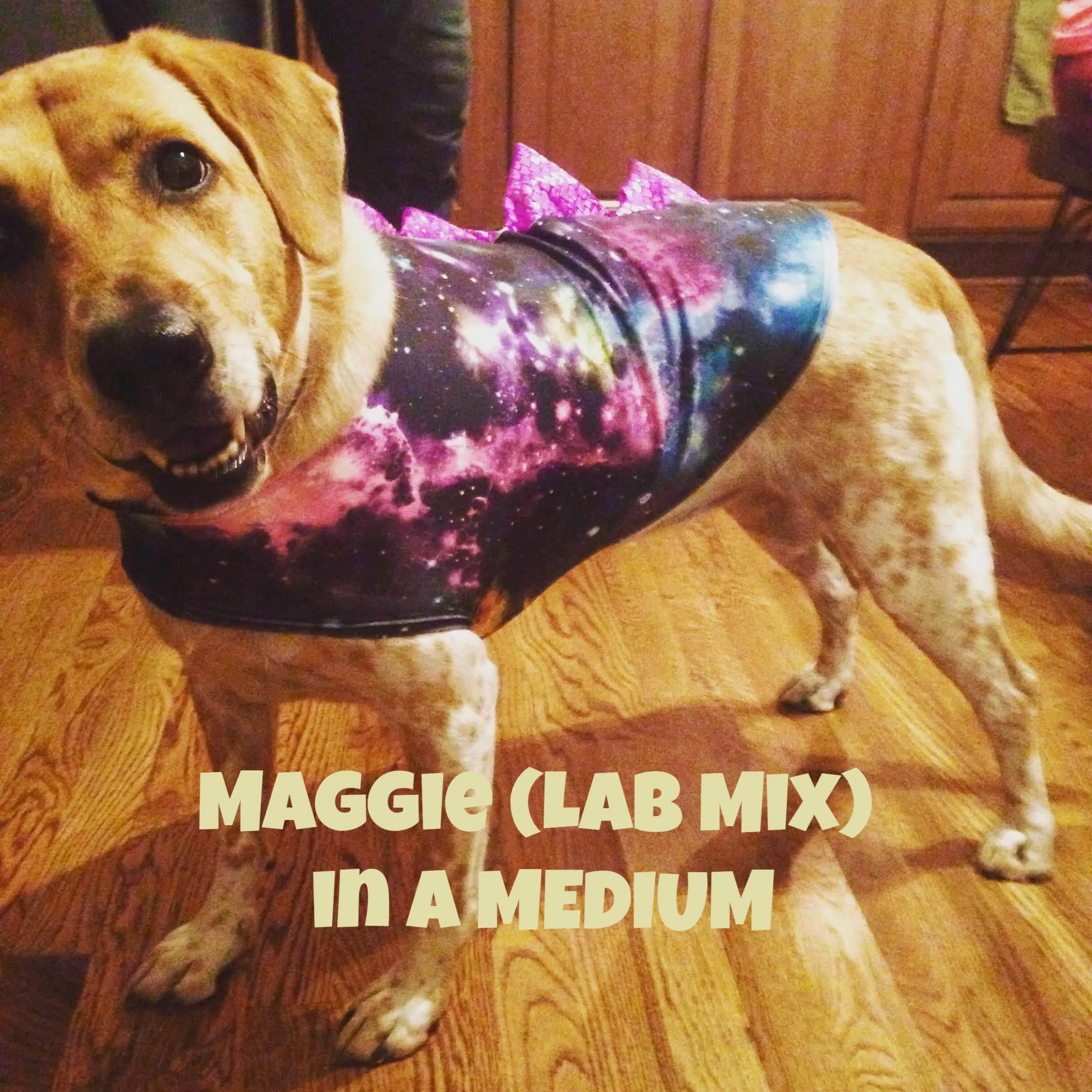 Blue Lightning Pet Shirt