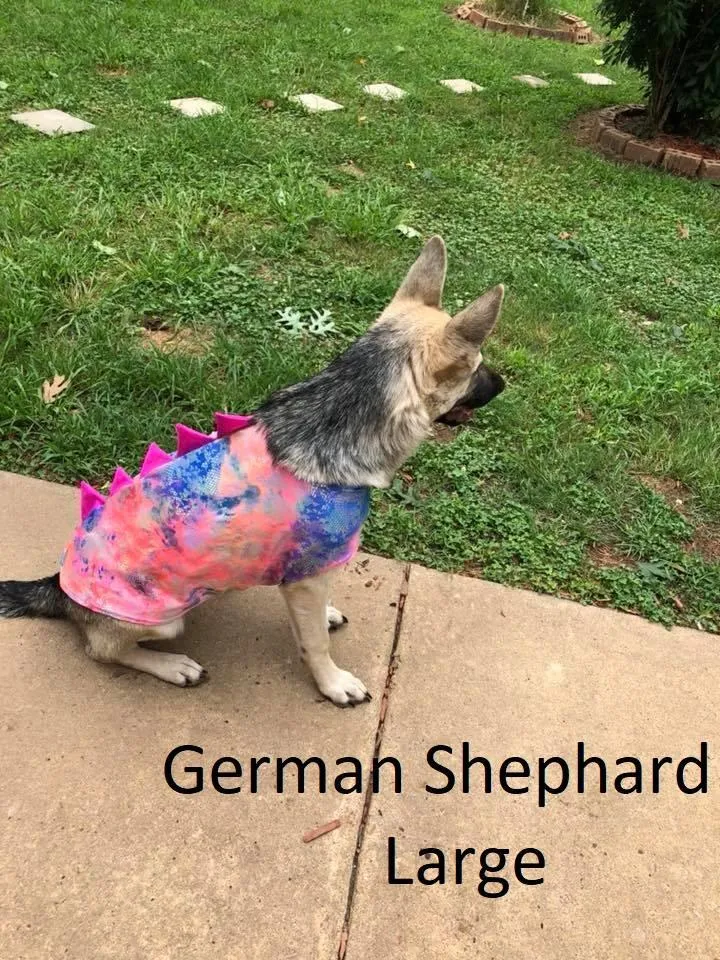 Blue Lightning Pet Shirt