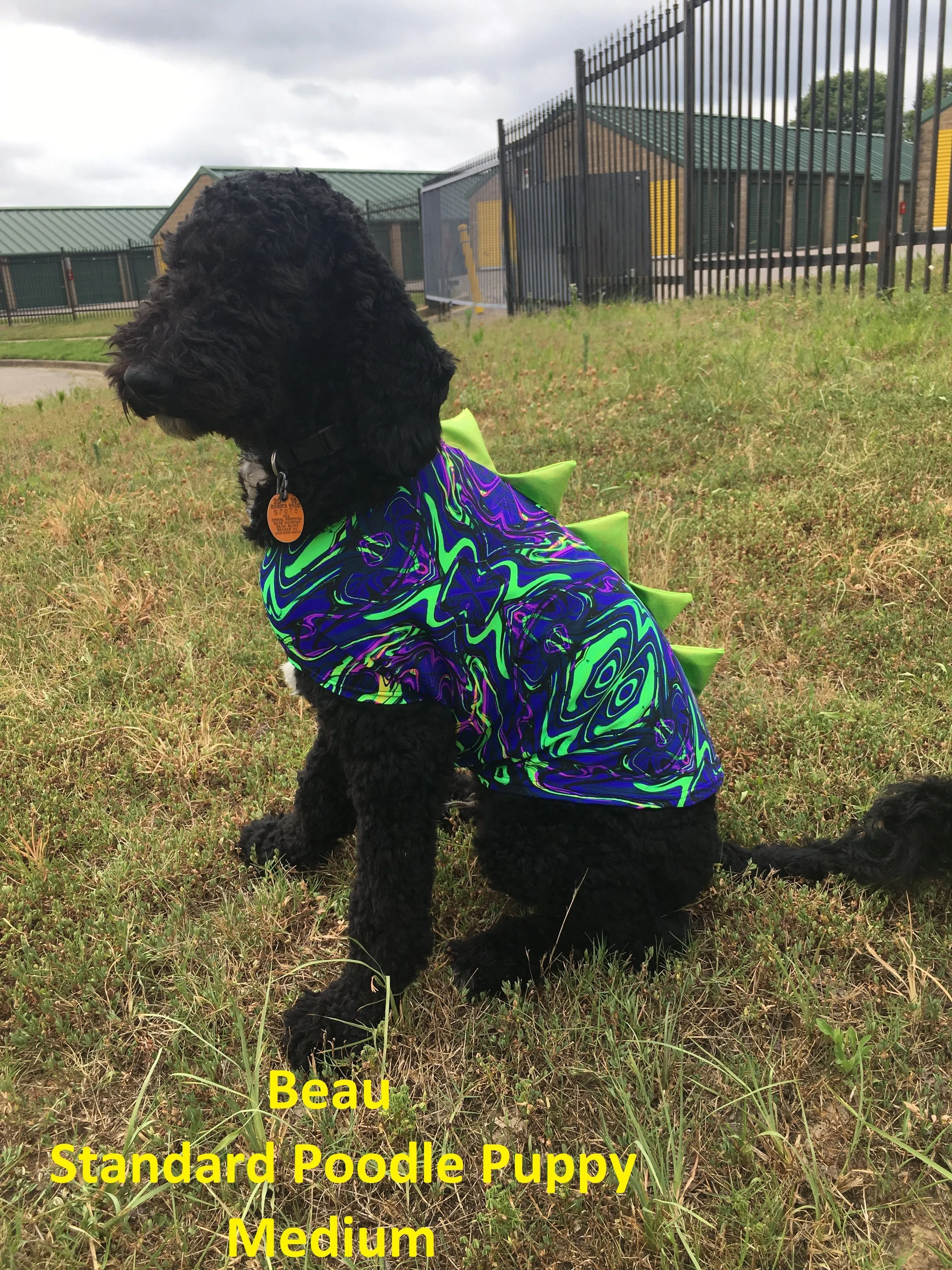 Blue Lightning Pet Shirt