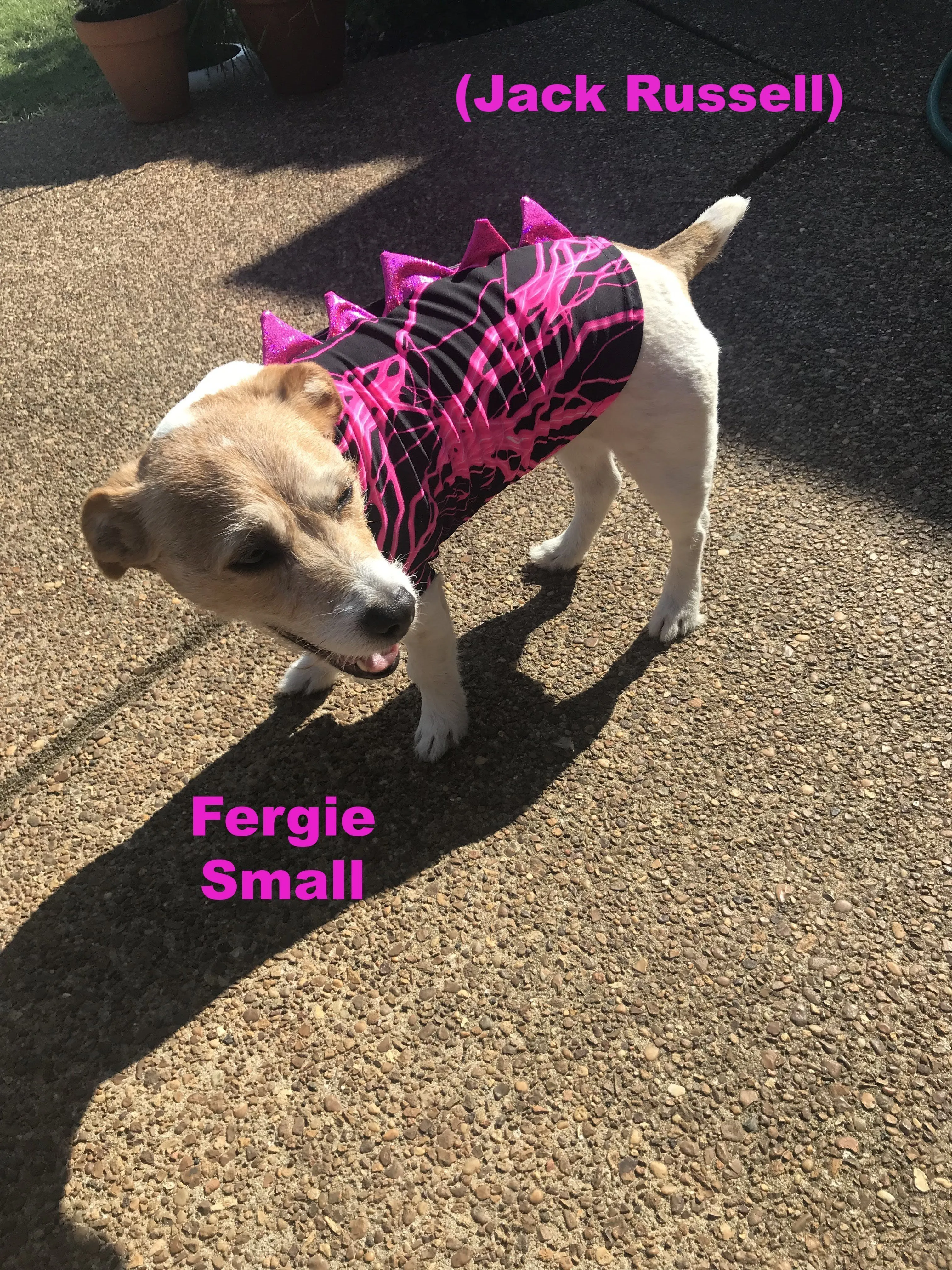Blue Lightning Pet Shirt