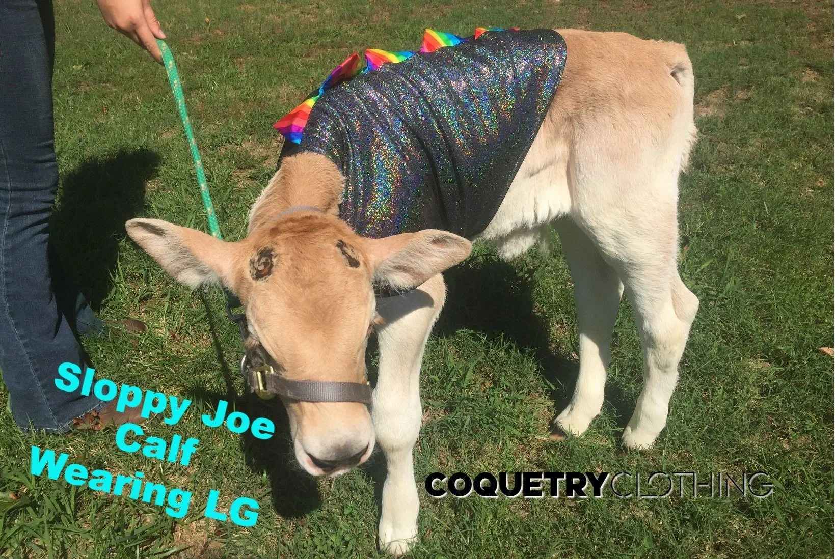 Blue Lightning Pet Shirt