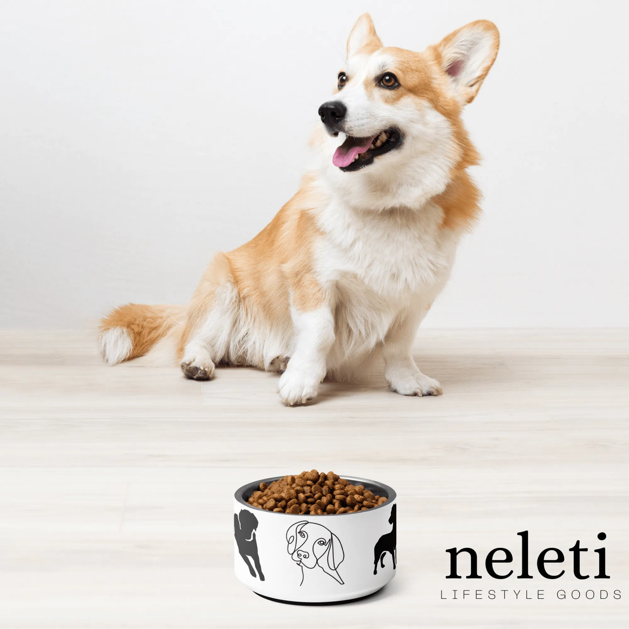 Chic Dog Bowl: Elevate Mealtime with Neleti's Stylish Design