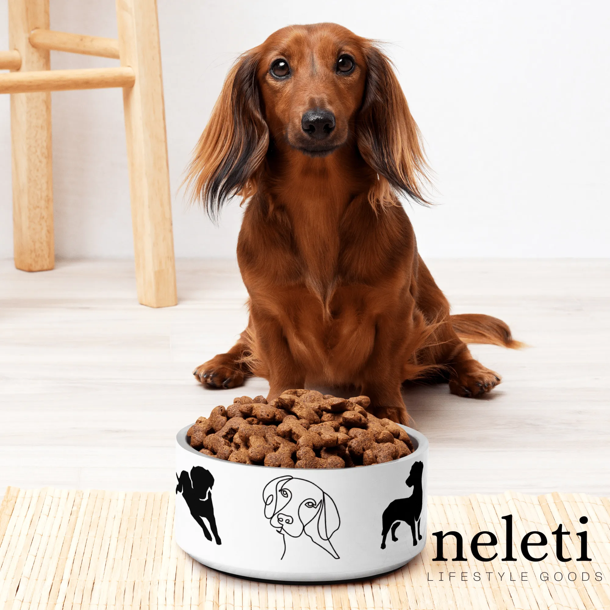 Chic Dog Bowl: Elevate Mealtime with Neleti's Stylish Design