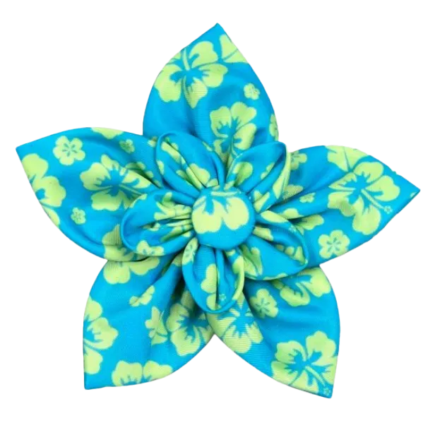 Collar Flower | Aloha Turquoise
