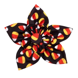 Collar Flower | Candy Corn