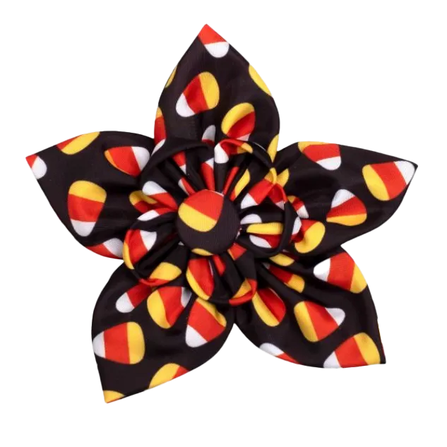 Collar Flower | Candy Corn