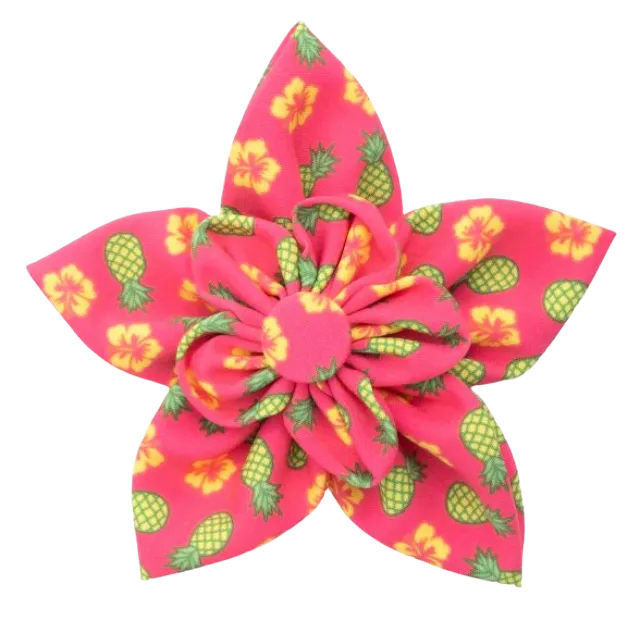 Collar Flower | Pineapple Delight