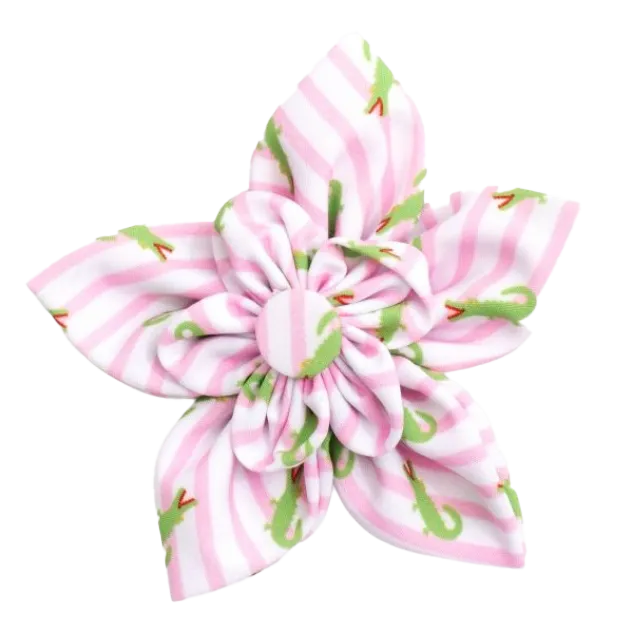 Collar Flower | Pink Stripe Alligators