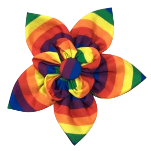 Collar Flower | Rainbow