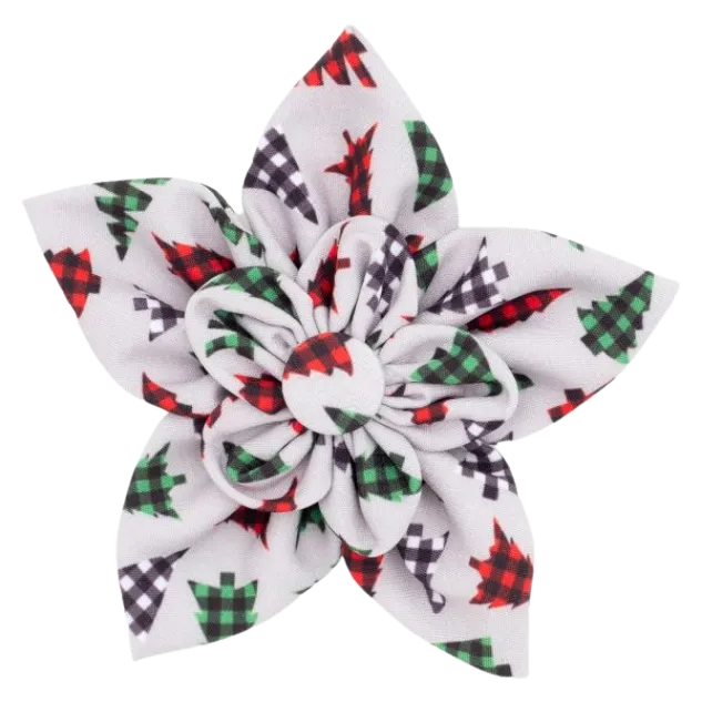 Collar Flower | Woodlands