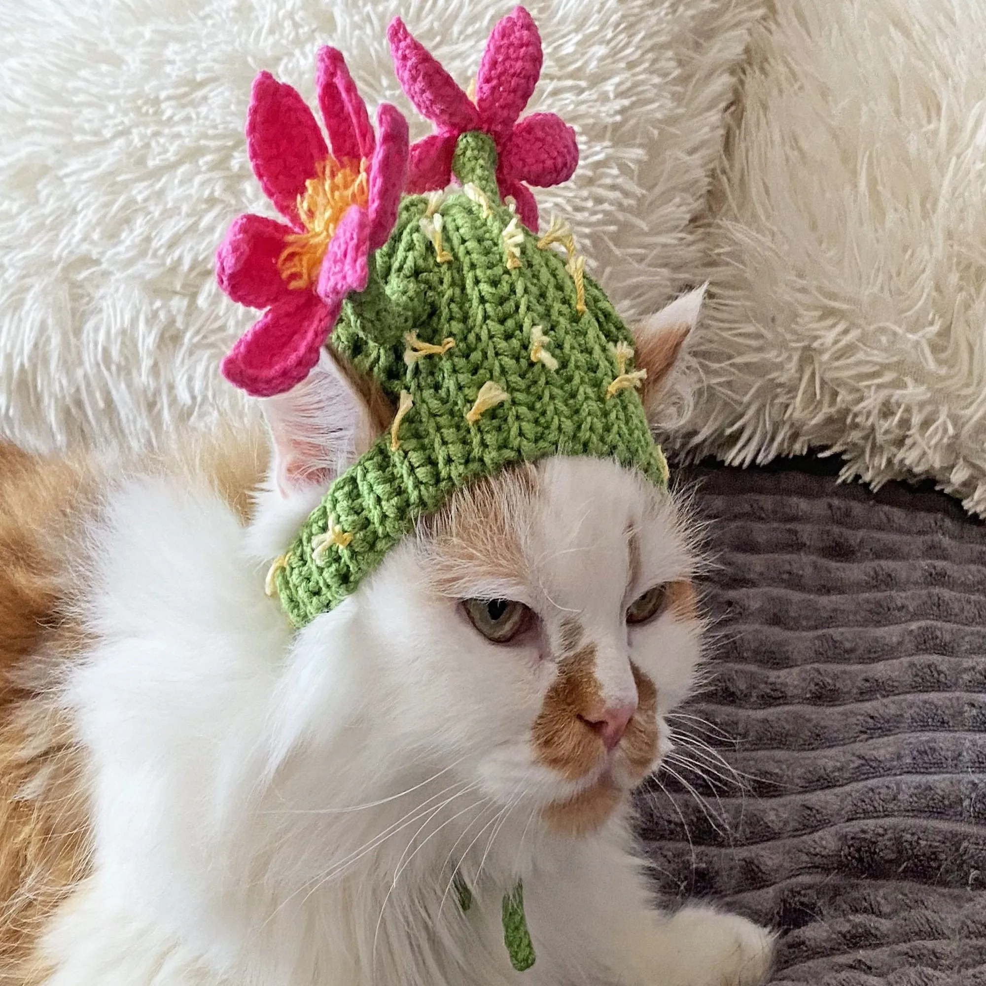 Crochet Cactus Cat Hat Pattern, US standard terms, Skill level beginner