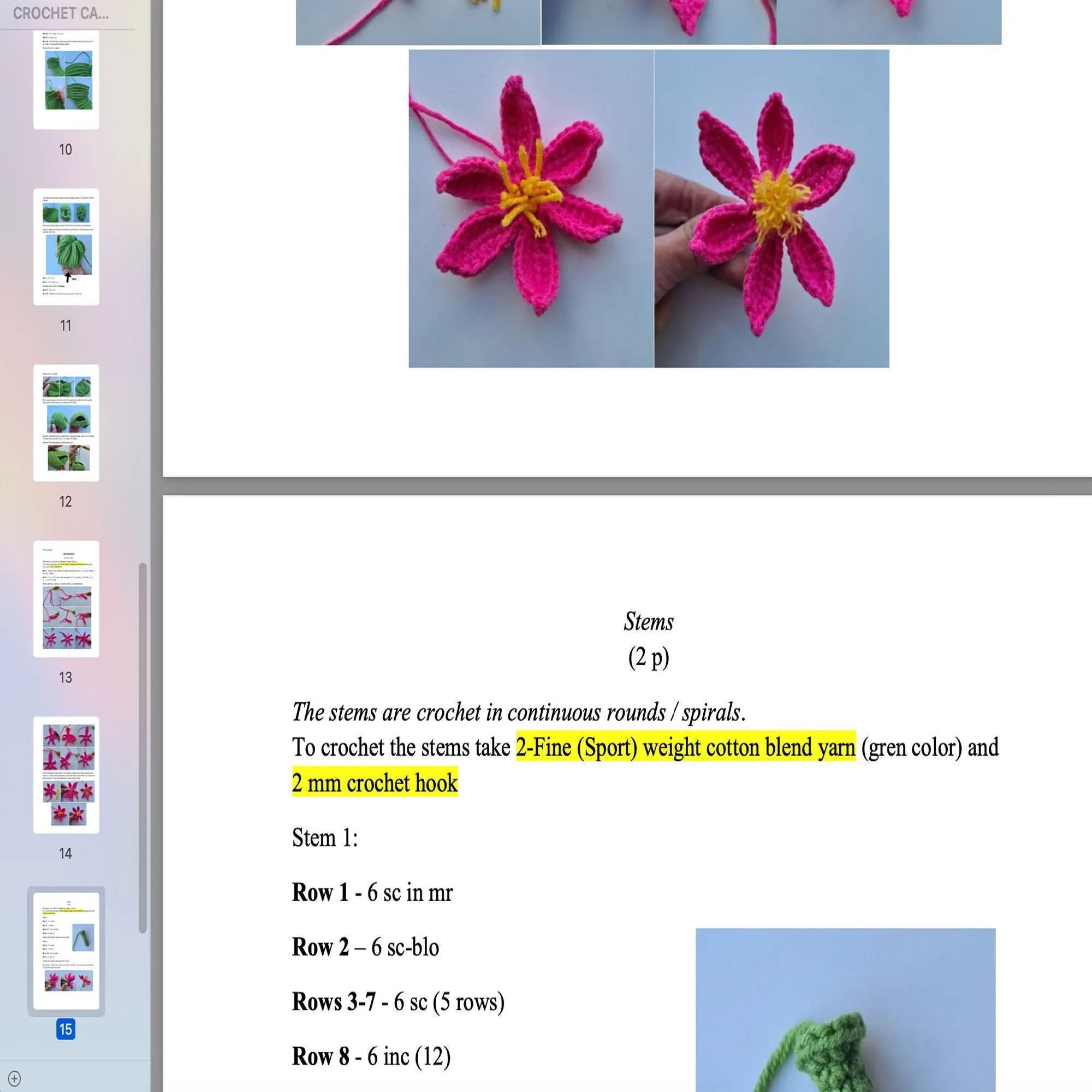 Crochet Cactus Cat Hat Pattern, US standard terms, Skill level beginner