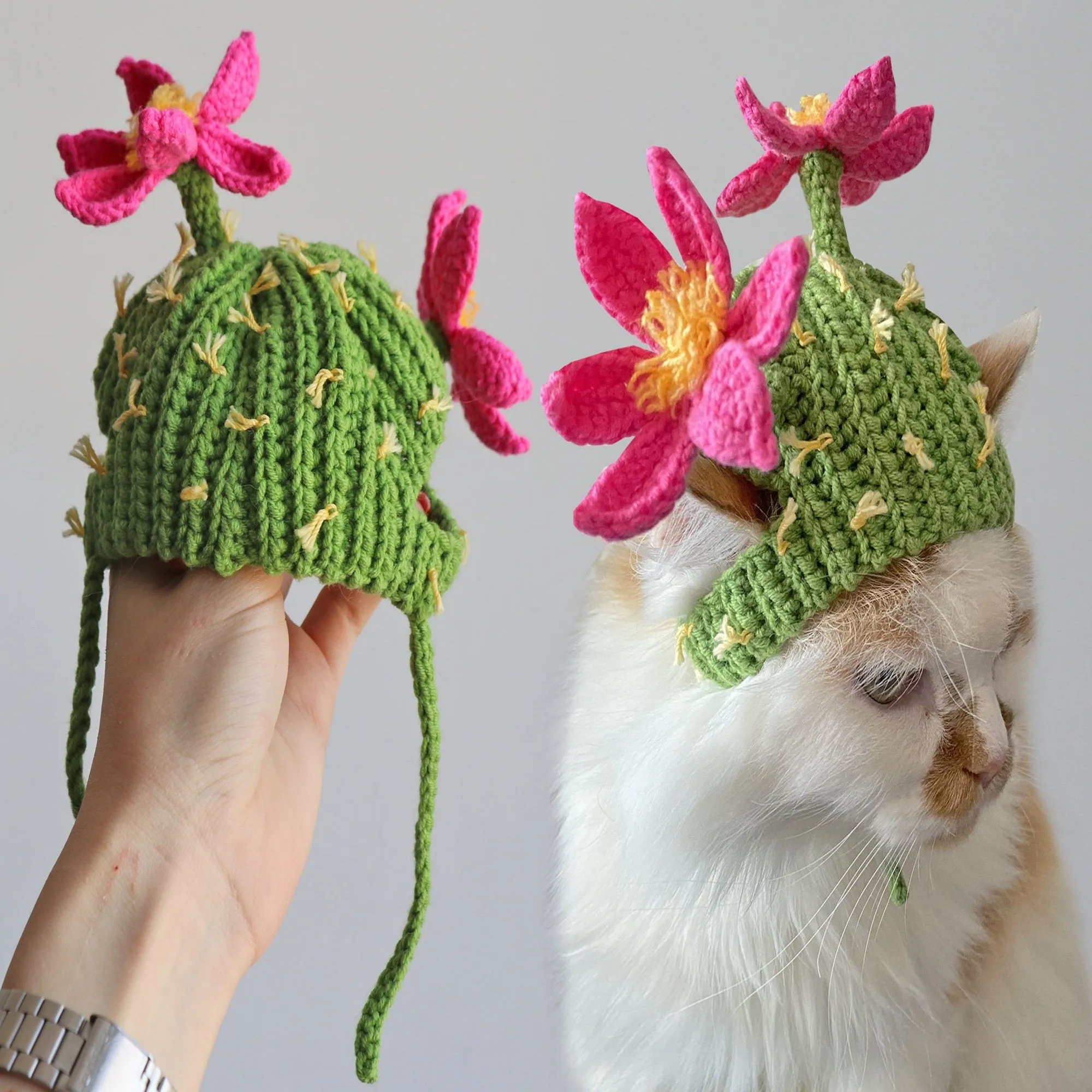 Crochet Cactus Cat Hat Pattern, US standard terms, Skill level beginner