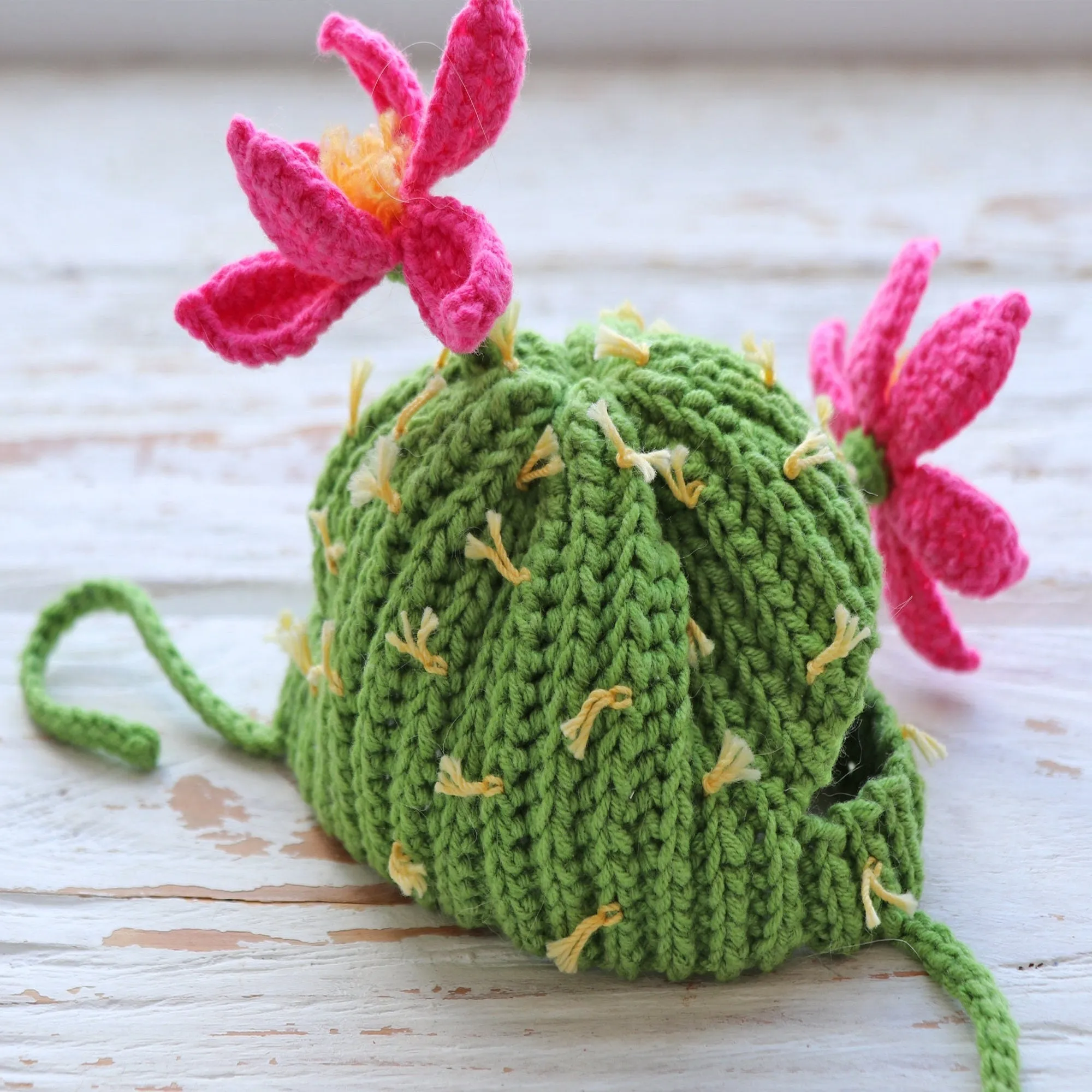 Crochet Cactus Cat Hat Pattern, US standard terms, Skill level beginner