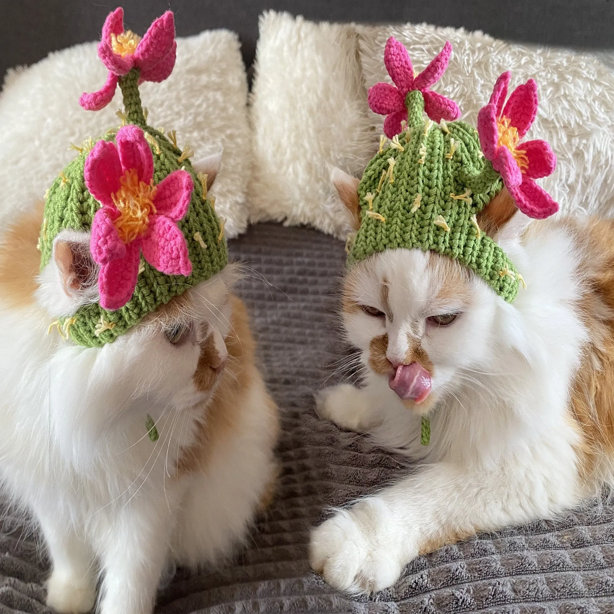 Crochet Cactus Cat Hat Pattern, US standard terms, Skill level beginner