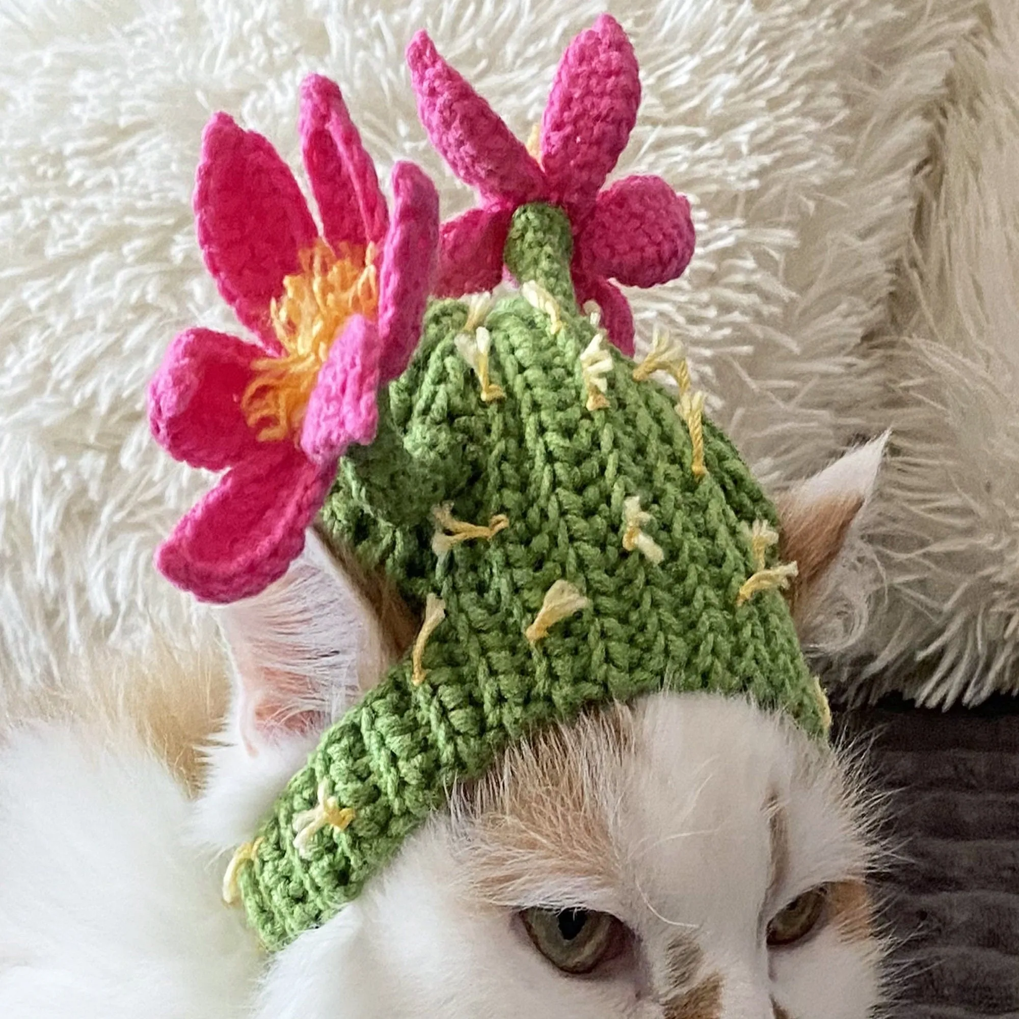 Crochet Cactus Cat Hat Pattern, US standard terms, Skill level beginner