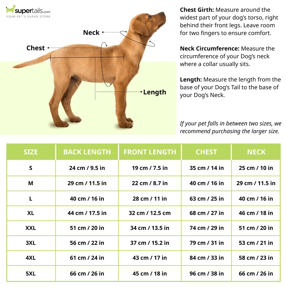 Dear Pet Sweatshirt for Dogs (Olive)