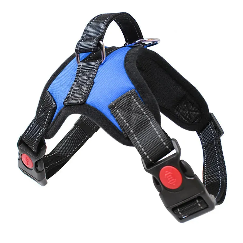 Dog Harness