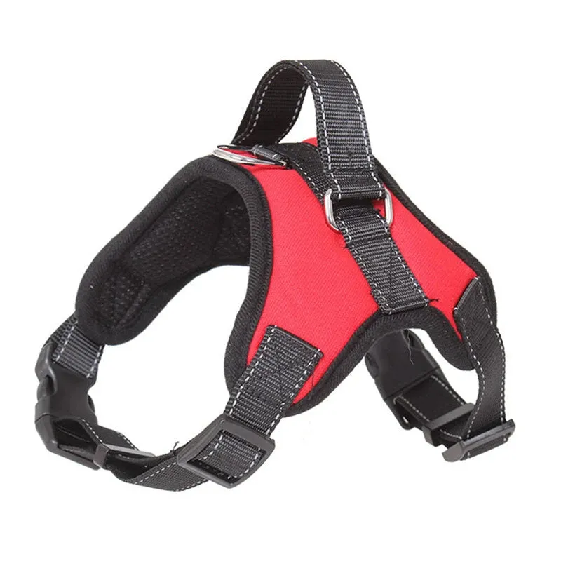 Dog Harness