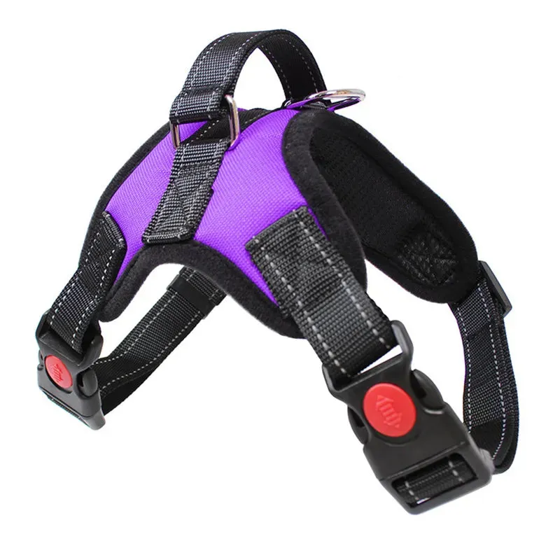 Dog Harness