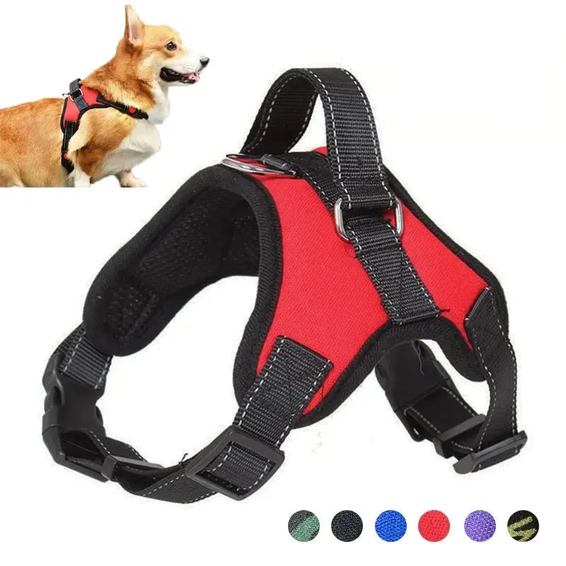 Dog Harness