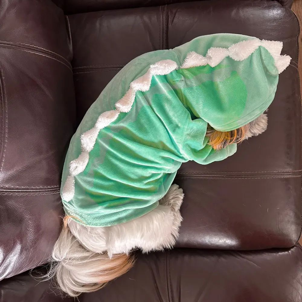 Dogobow The Good Dino Hoodie for Dogs and Cats (Teal Green/White) (Get a Bow Free)