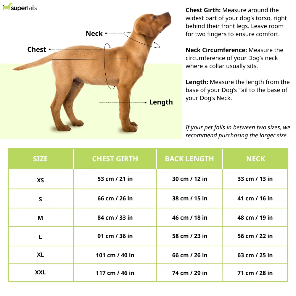 Dogobow The Good Dino Hoodie for Dogs and Cats (Teal Green/White) (Get a Bow Free)