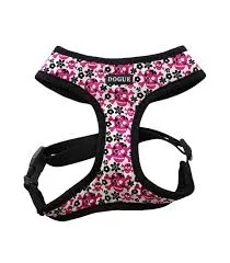 DOGUE Skull & Dogbones Harness