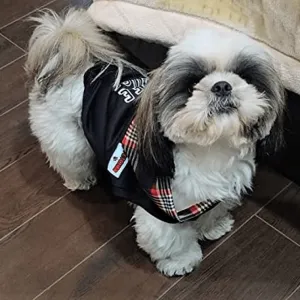 Fetcher Black & Red 'Free Hugs' Dry Fit Hoodie for Dogs and Cats (Black)