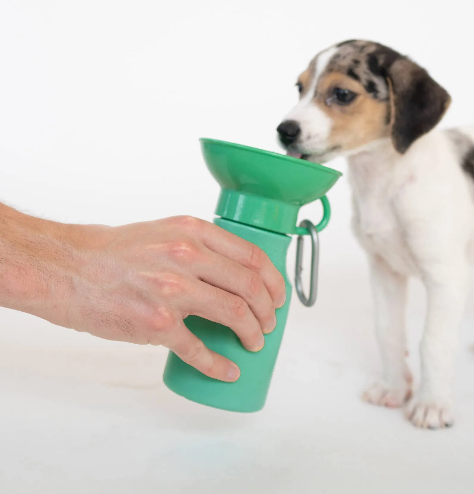 Mini Dog Travel Bottle - Sky Blue