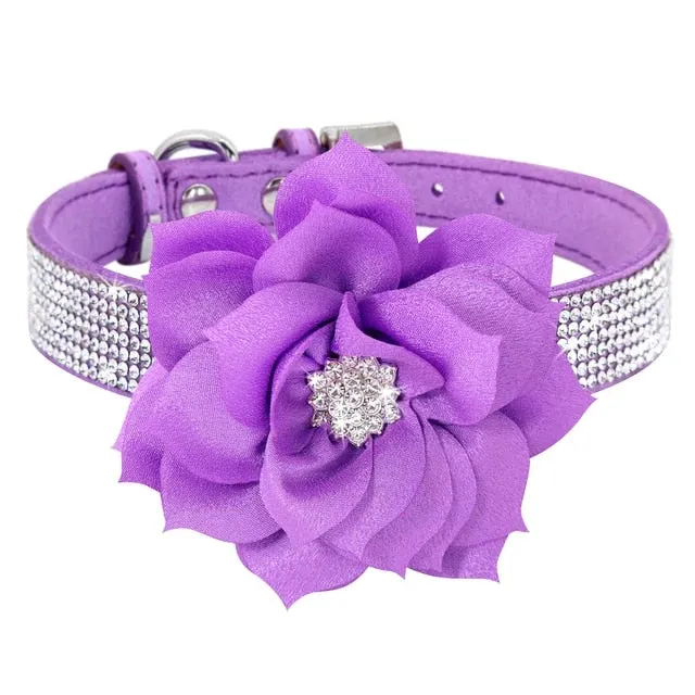 PetAffairs Rhinestone Pet Collar with Flower for Pet