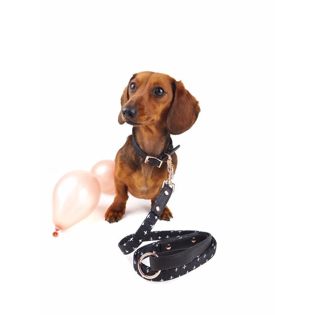 Pupstyle Blessed City Dog Lead***