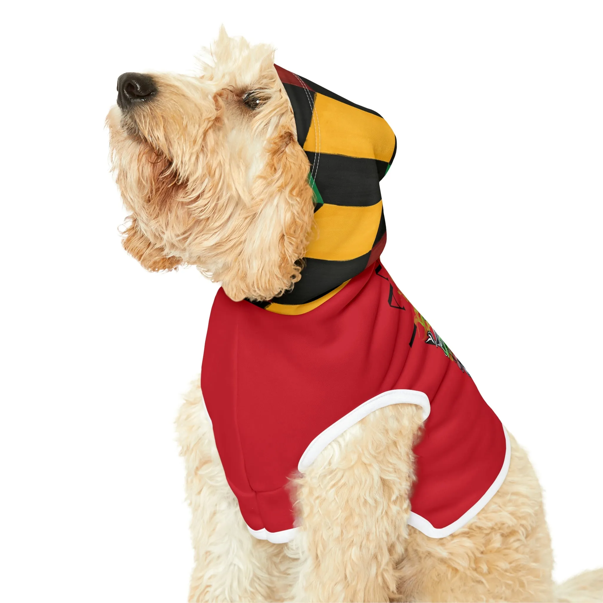Royael Dog Hoodie