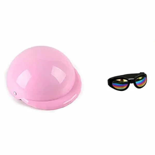 Small Pet Helmet and Sunglasses