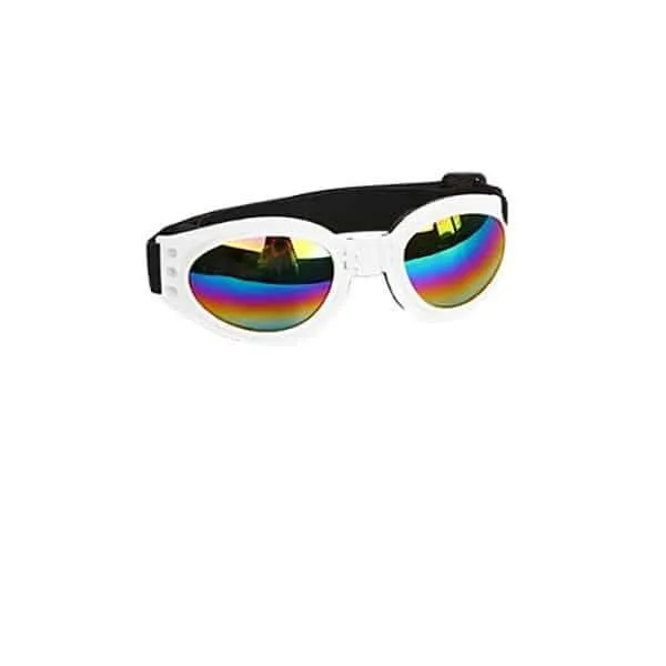 Small Pet Helmet and Sunglasses