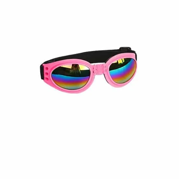 Small Pet Helmet and Sunglasses