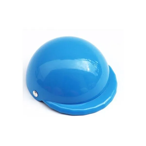 Small Pet Helmet and Sunglasses
