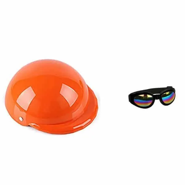 Small Pet Helmet and Sunglasses