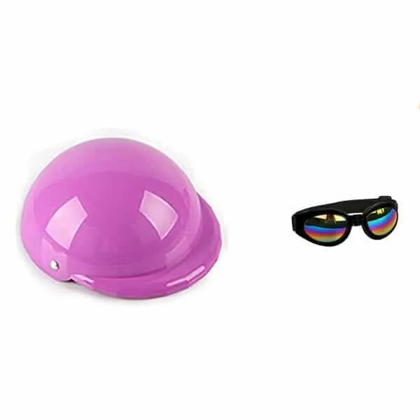 Small Pet Helmet and Sunglasses