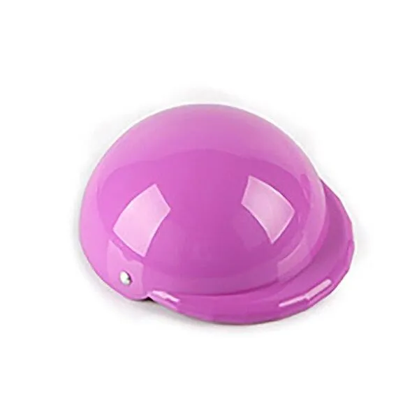 Small Pet Helmet and Sunglasses