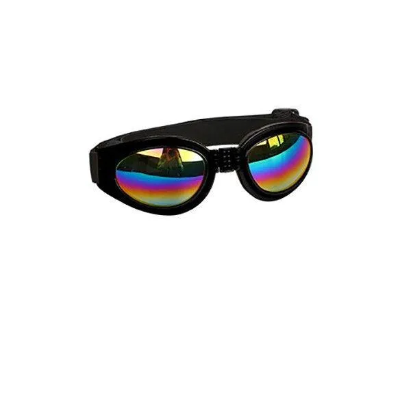 Small Pet Helmet and Sunglasses