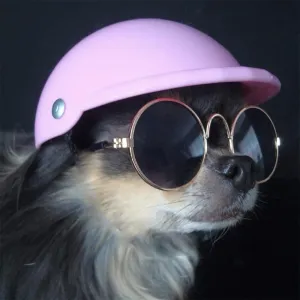 Small Pet Helmet and Sunglasses
