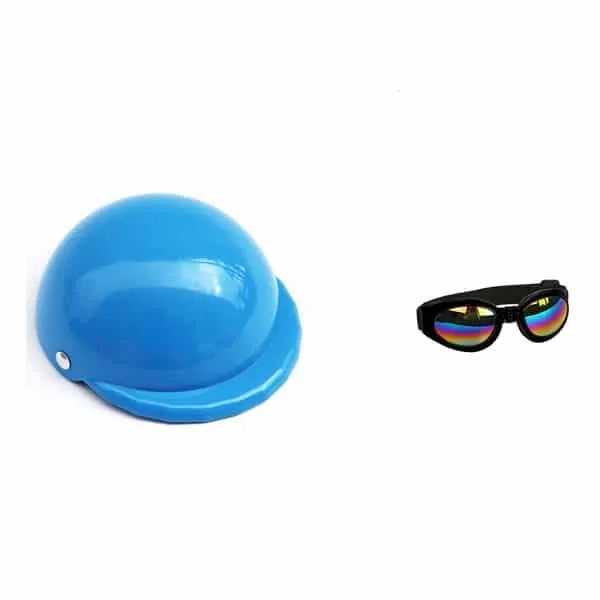 Small Pet Helmet and Sunglasses