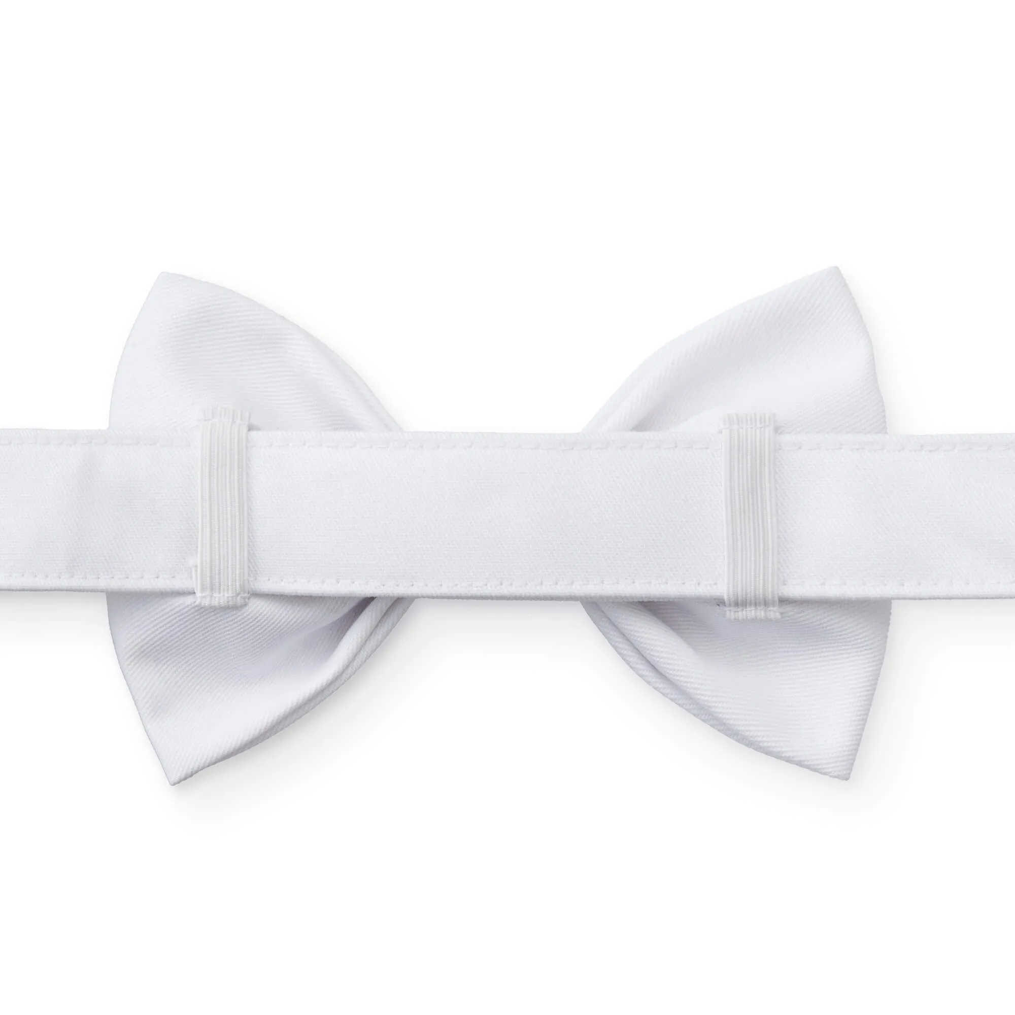 White Dog Bow Tie